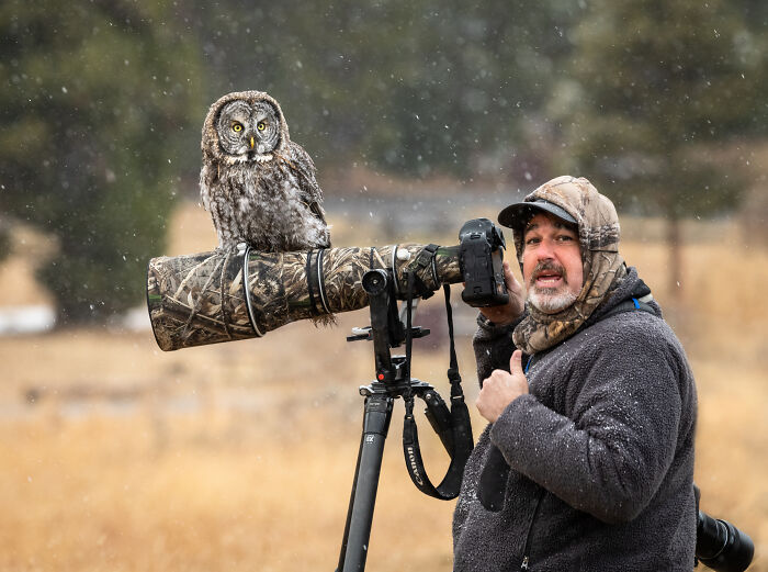 It Sent Tingles Down My Spine For Hours: Owl Lands On This Photographers Lens, Ends Up Blending In Perfectly