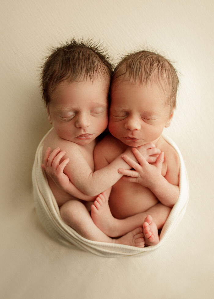  photographed newborn twins chicago 