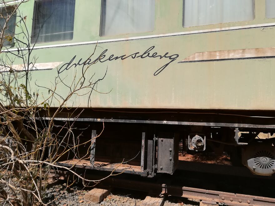  found old abandoned train 