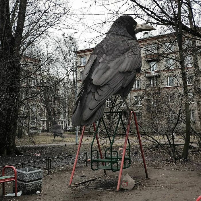 Russian Artist Creates Photo Manipulations That Transform St. Petersburg Into A Magical Place With Fantastic Creatures (74 New Pics)