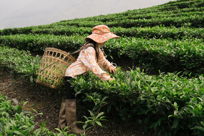 Photographer Travels Through Vietnam To Capture These 30 Pictures Of Its Landscape And People