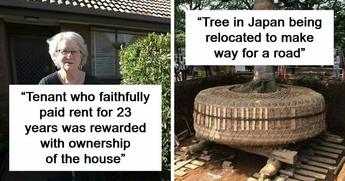 83 Wholesome And Interesting Facts And Stories From All Over The World