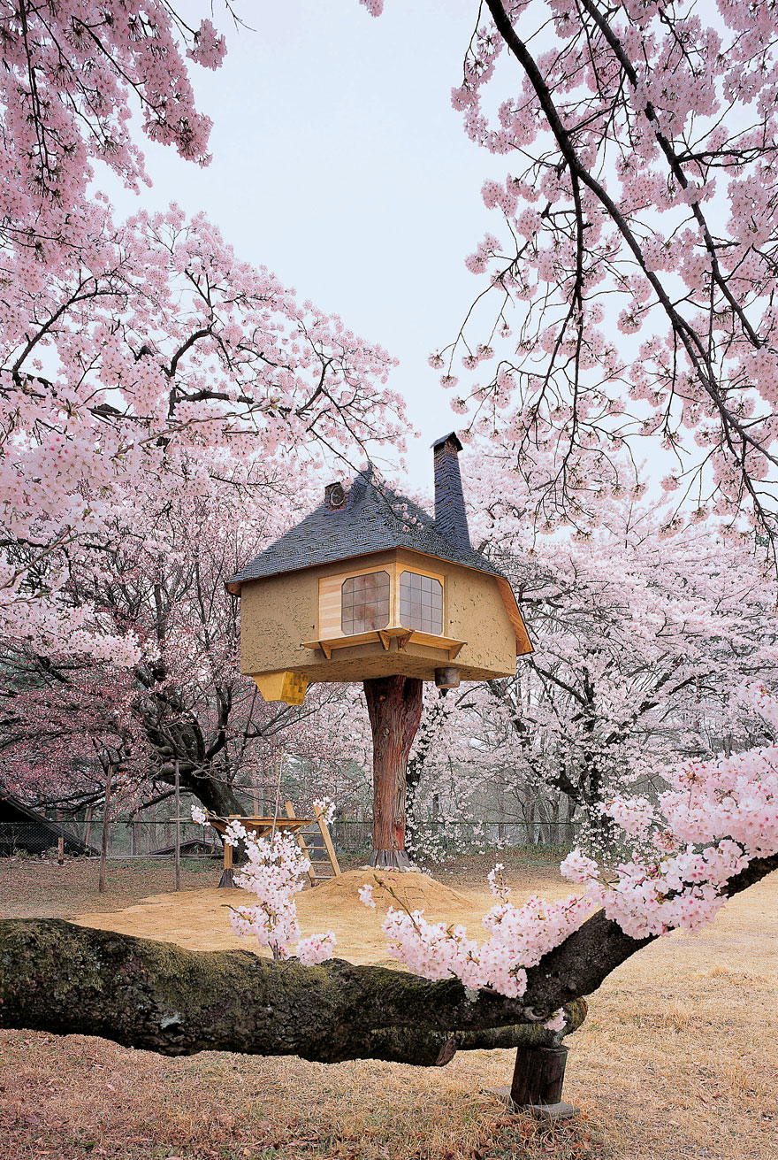 16 Amazing Tree houses