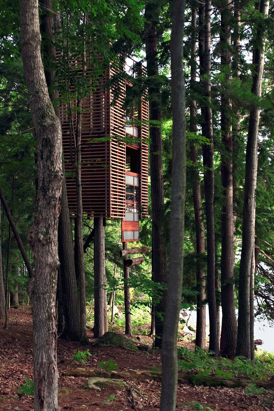 5 Amazing Tree houses