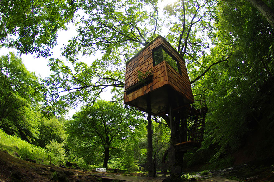 10 Amazing Tree houses