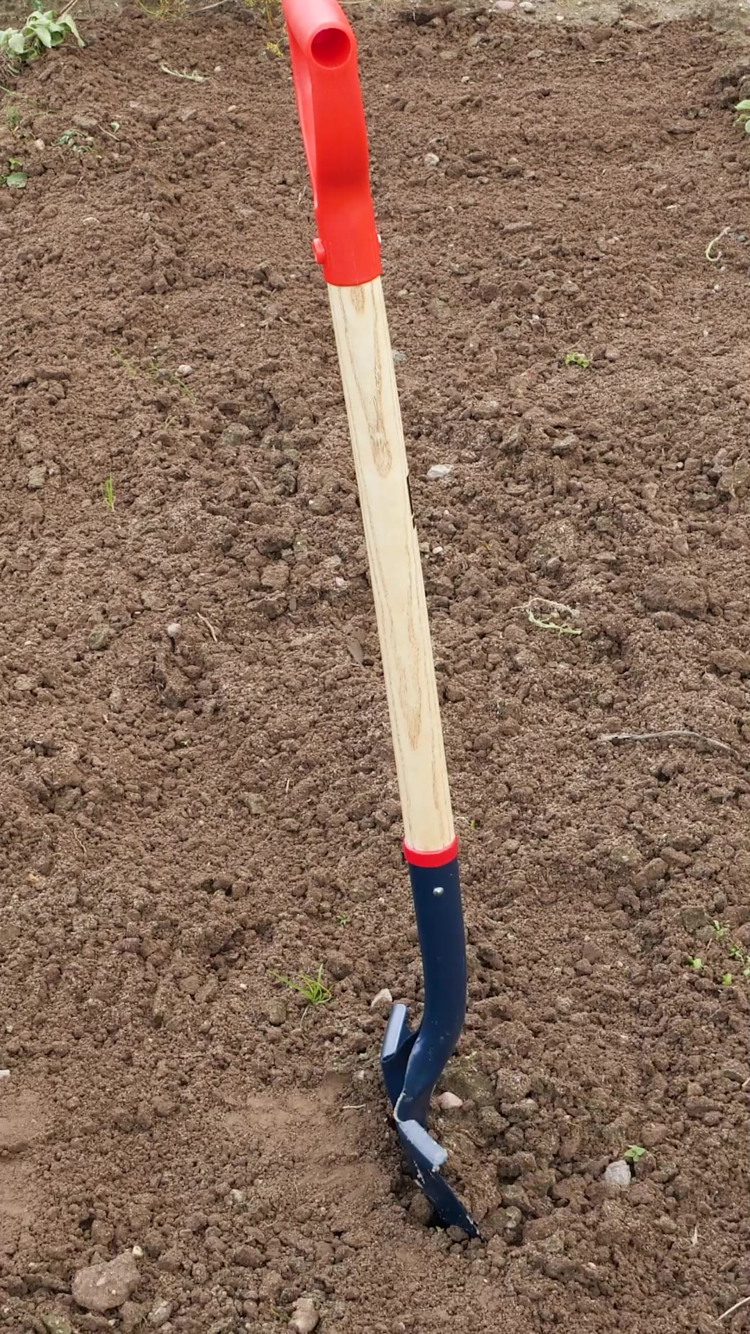 Plant Potatoes Without Bending Over