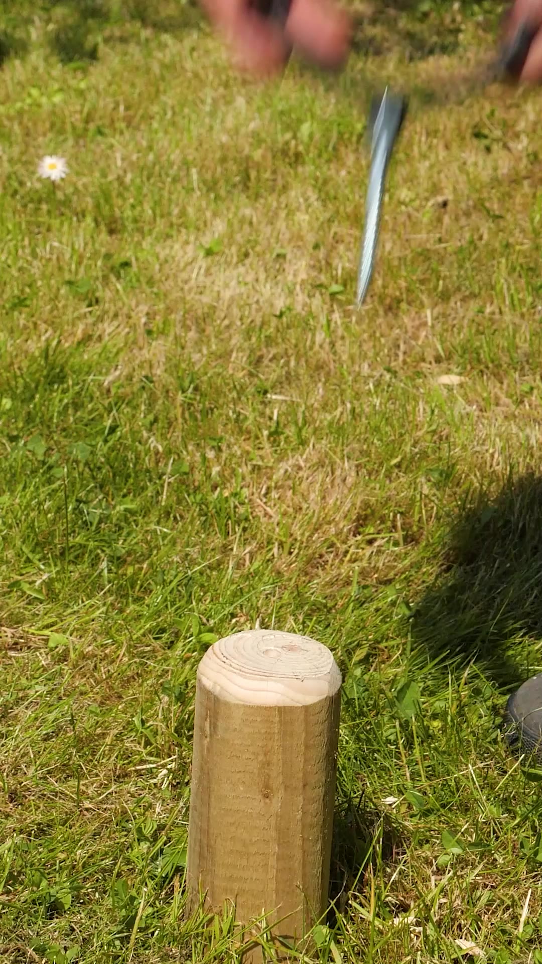 PVC Garden Systems That Change Everything