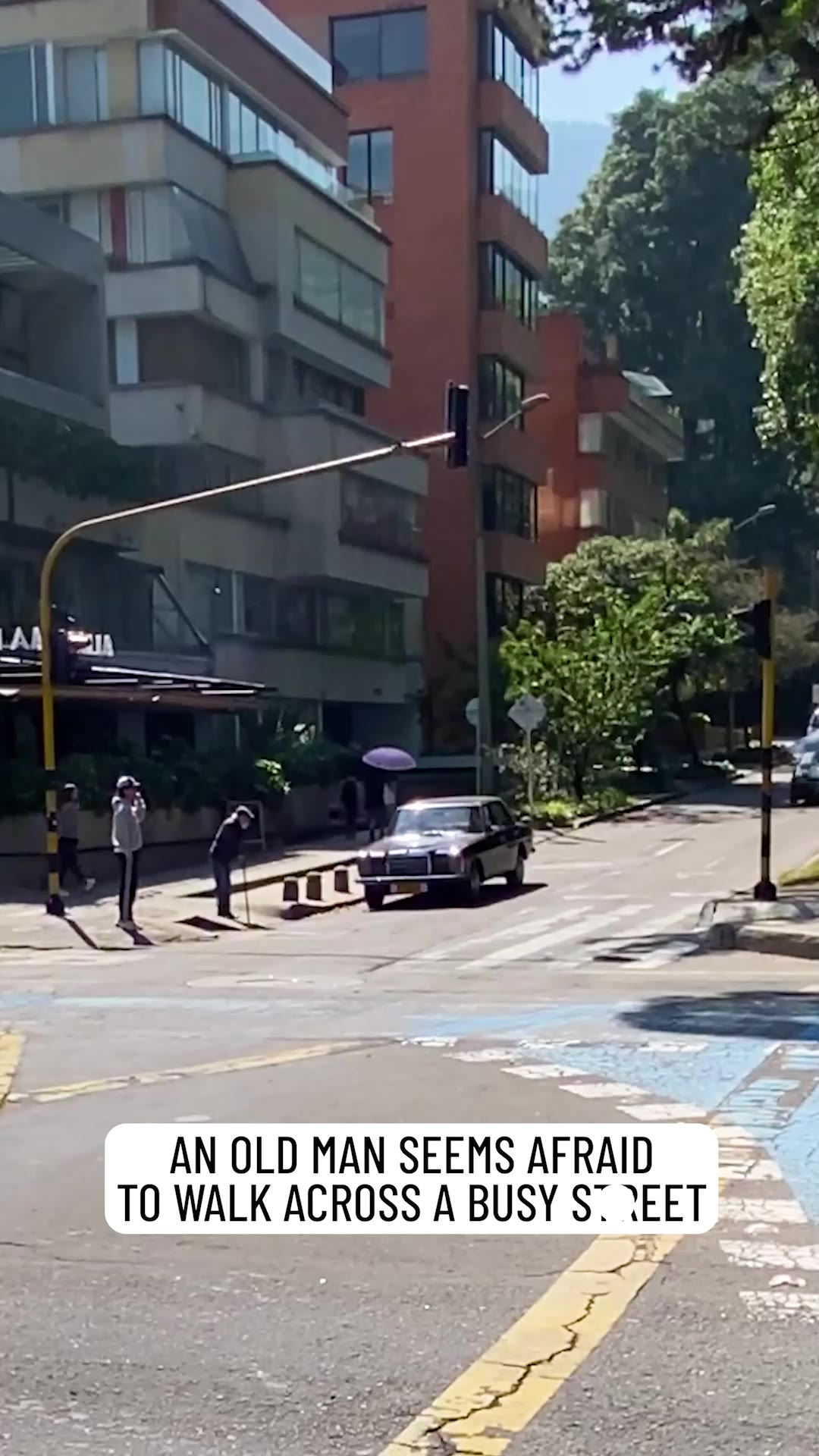 Traffic Stops For One Amazing Reason