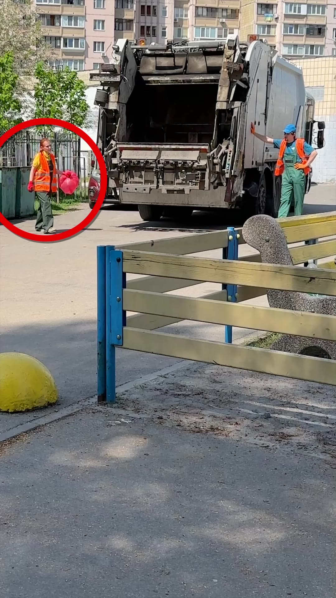 Pure Kindness Caught on Camera