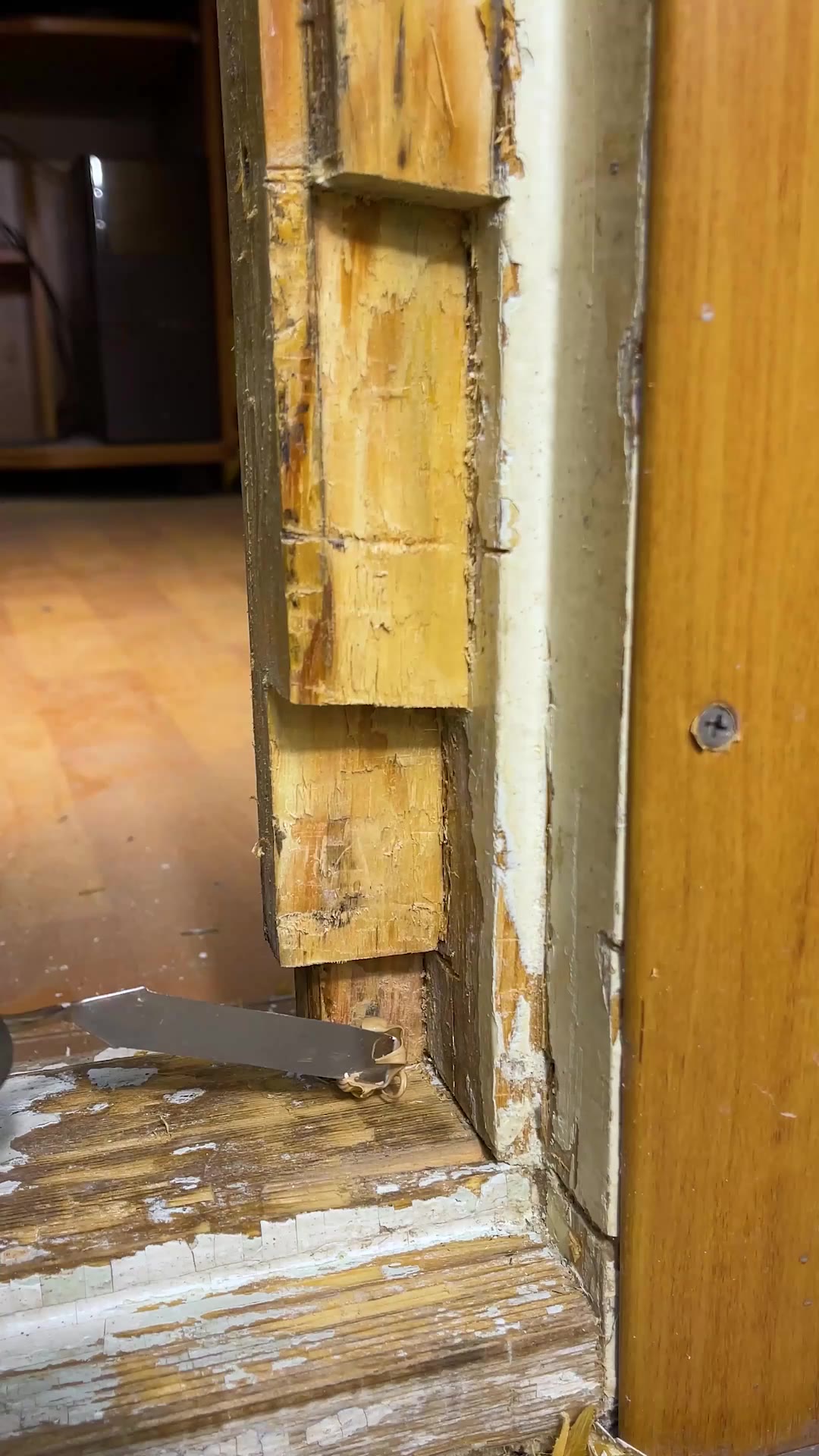 Expert Wood Repair
