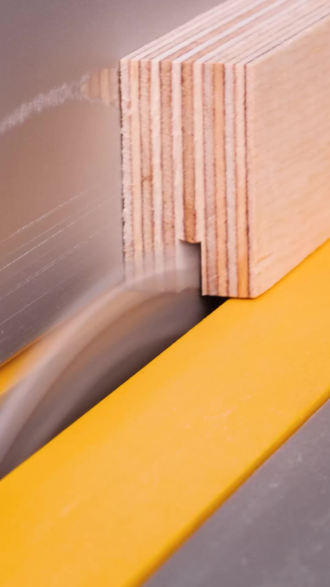 Practical Plywood Shelf