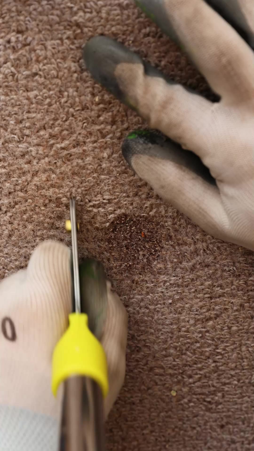 Easy Carpet Repair