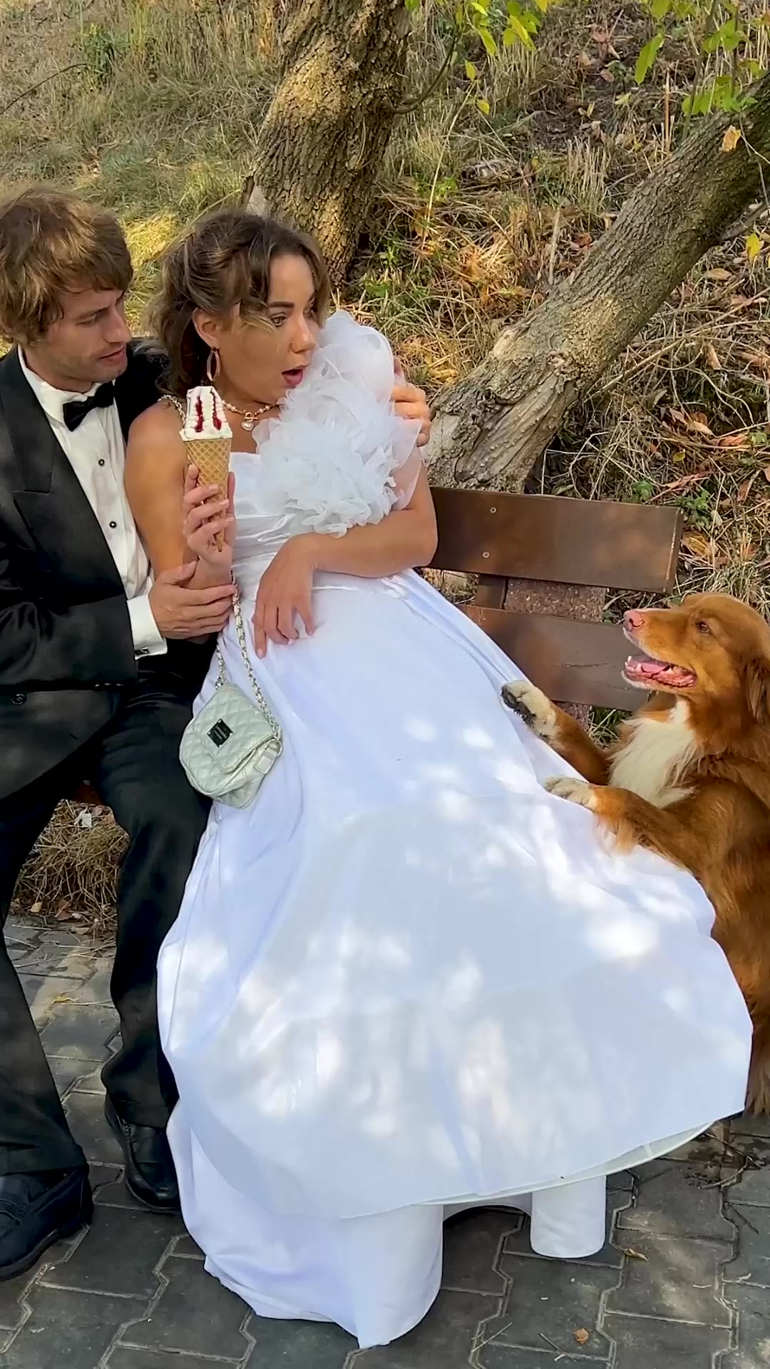 Bride Helps a Stray Dog on Her Wedding Day 🐶💍