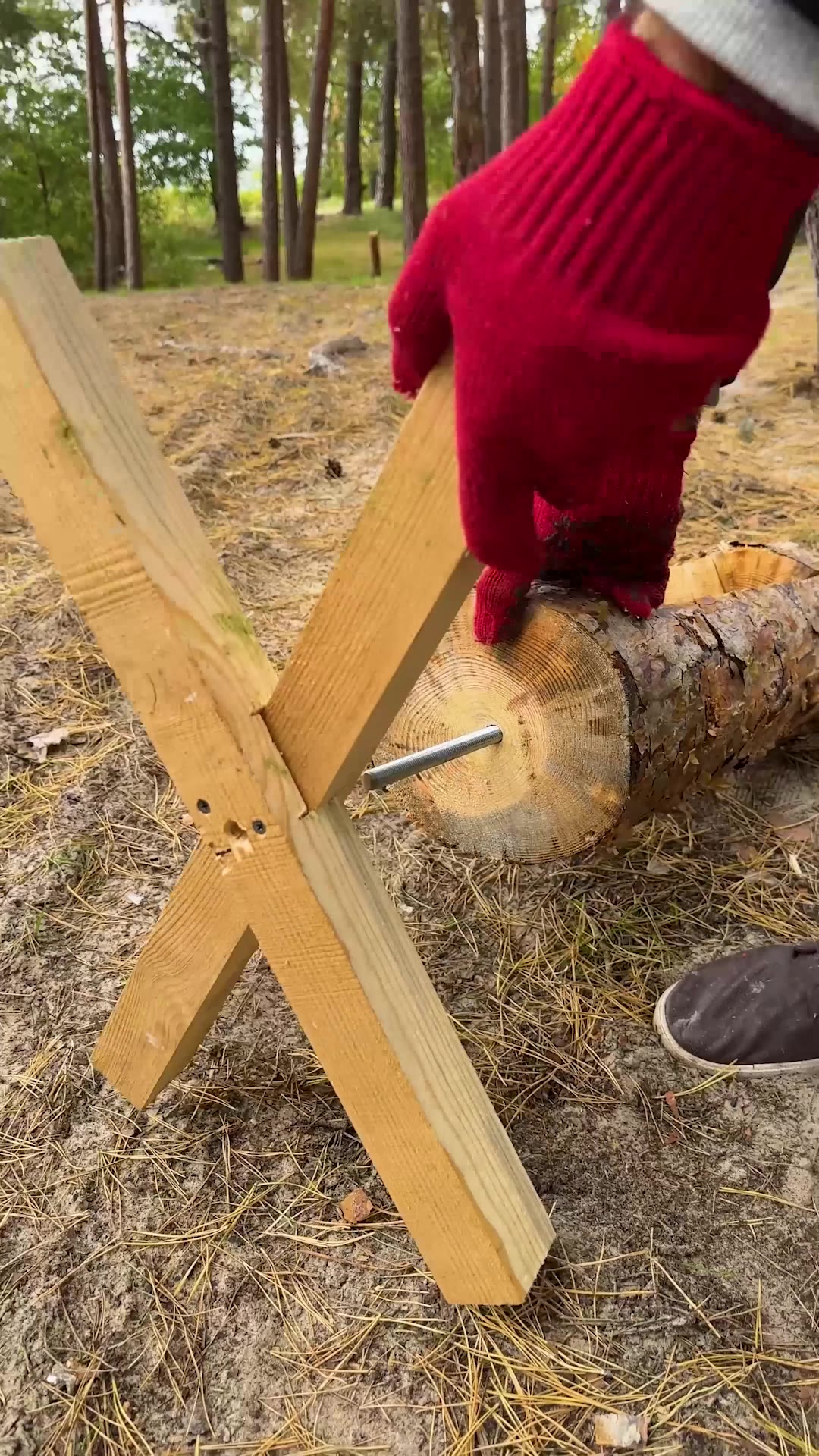 Crazy Campfire From a Log