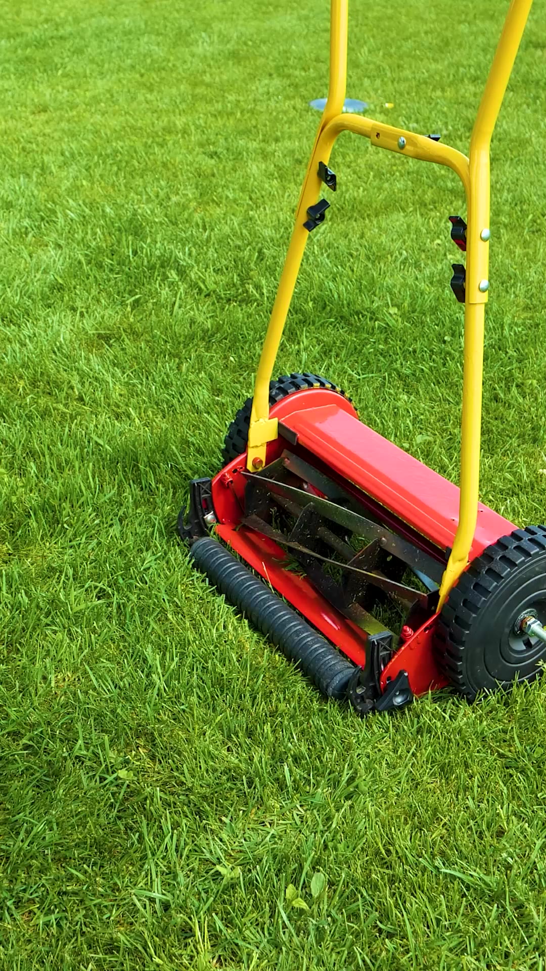 Hoverboard Lawn Mower