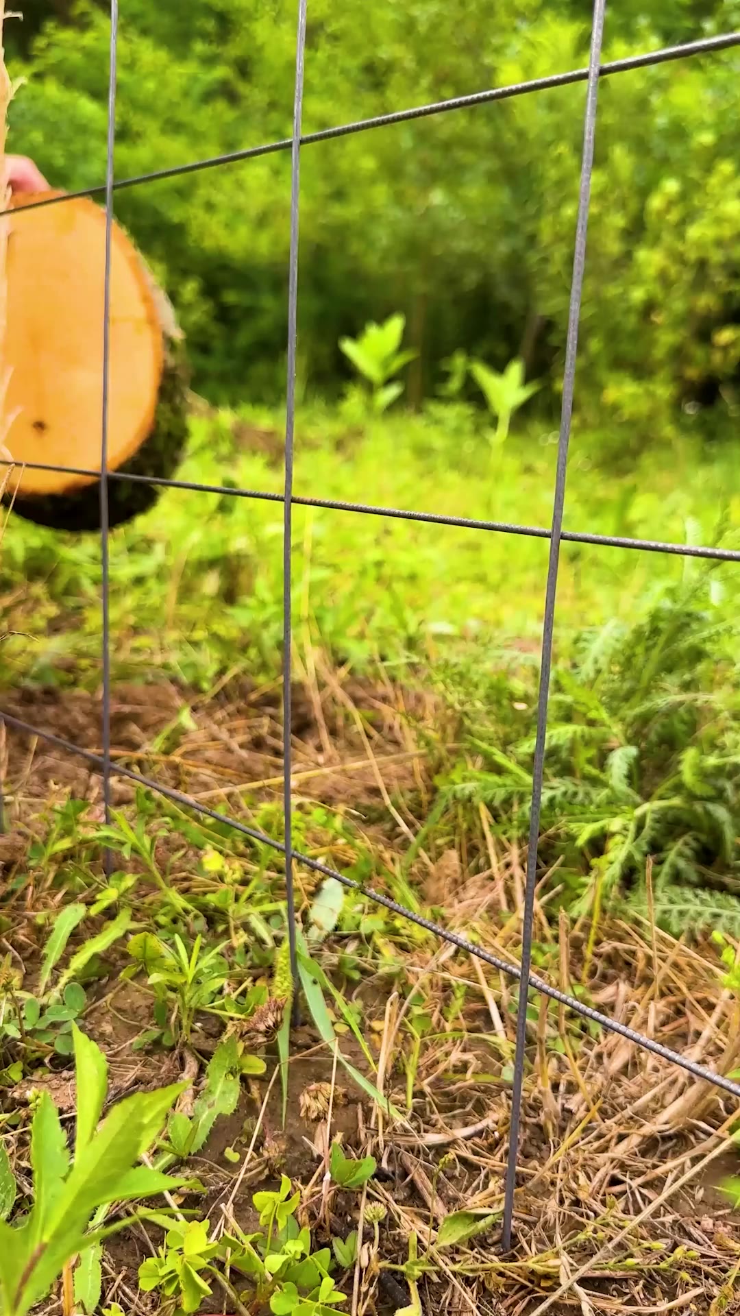 Make a log fence for your yard!