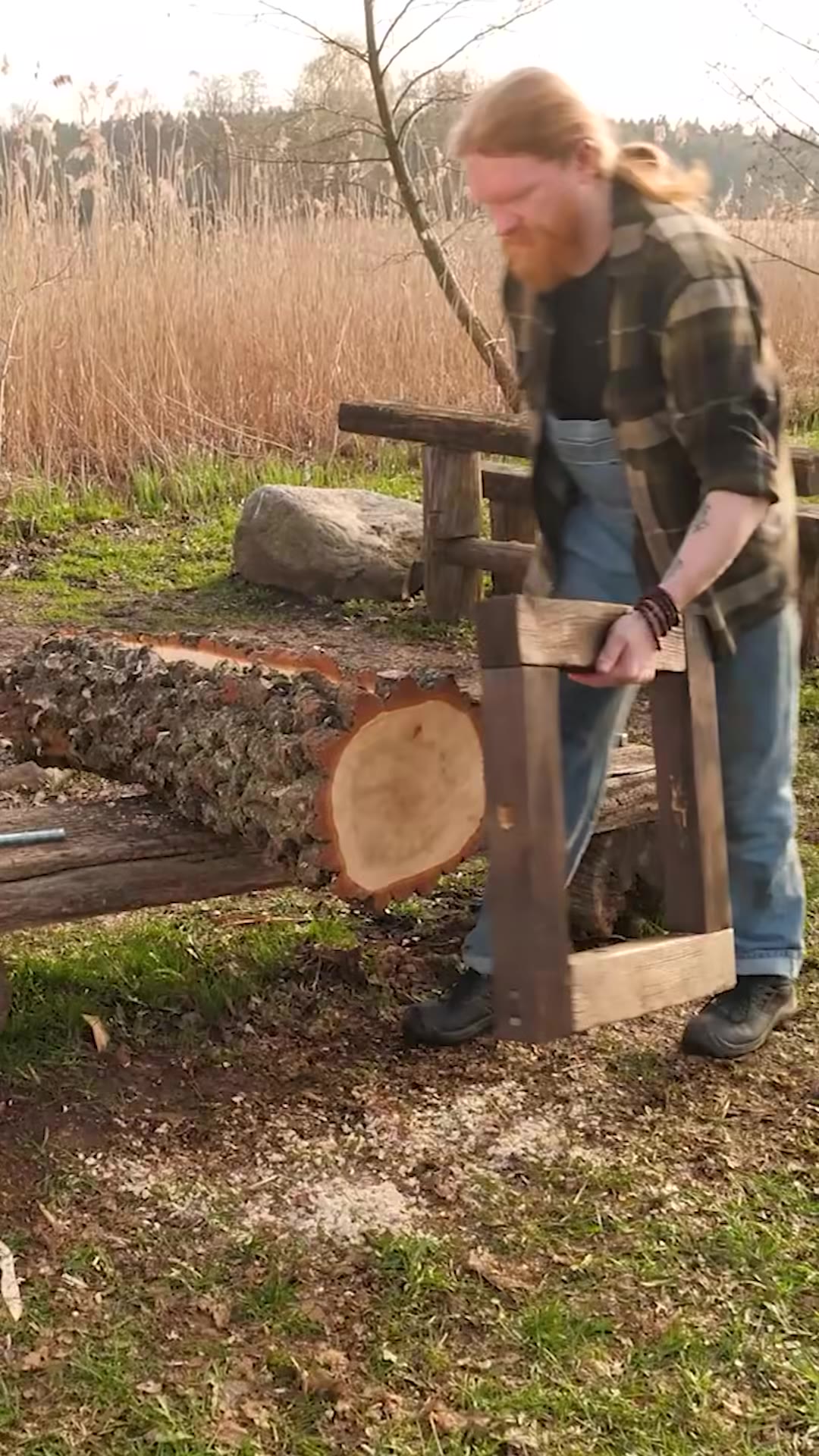 Building a Campfire Inside a Single Log?! 🔥🪵 #shorts #camping