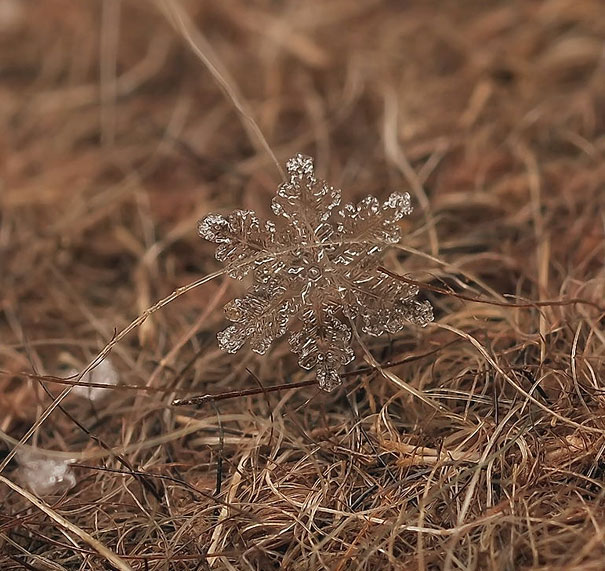 Gorgeous Macro Shots of Individual Snowflakes 