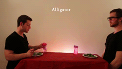 how-animals-eat-their-food-2