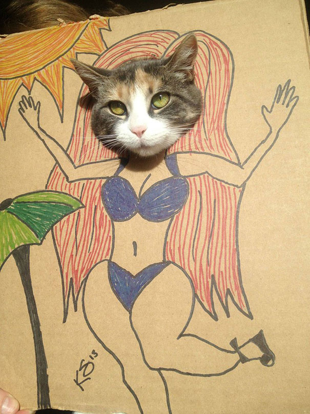 funny-cardboard-cat-costumes-2