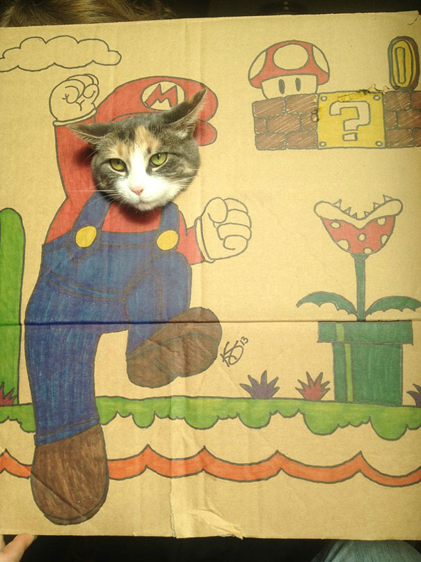 funny-cardboard-cat-costumes-4