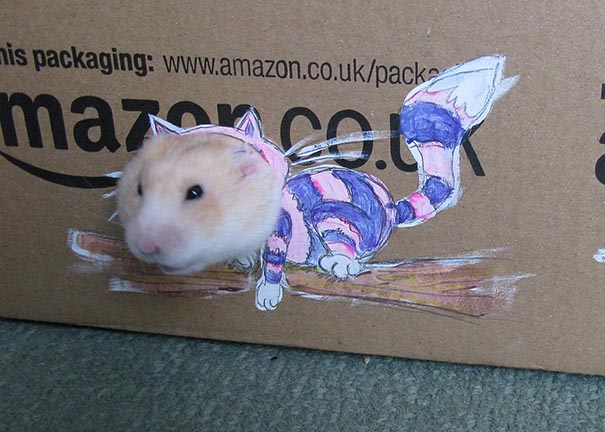 hamsters with clothes