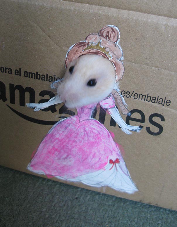 Girl Dresses Hamster Up In Cute Cardboard Costumes (4 pics)