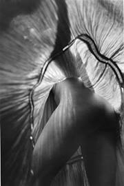 Julie MusiQue avatar