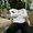 Dawit Ayele avatar