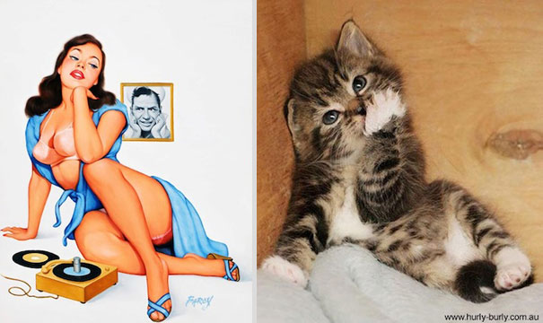 cats-that-look-like-pin-up-girls-19