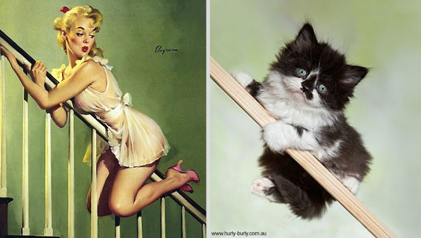 cats-that-look-like-pin-up-girls-20