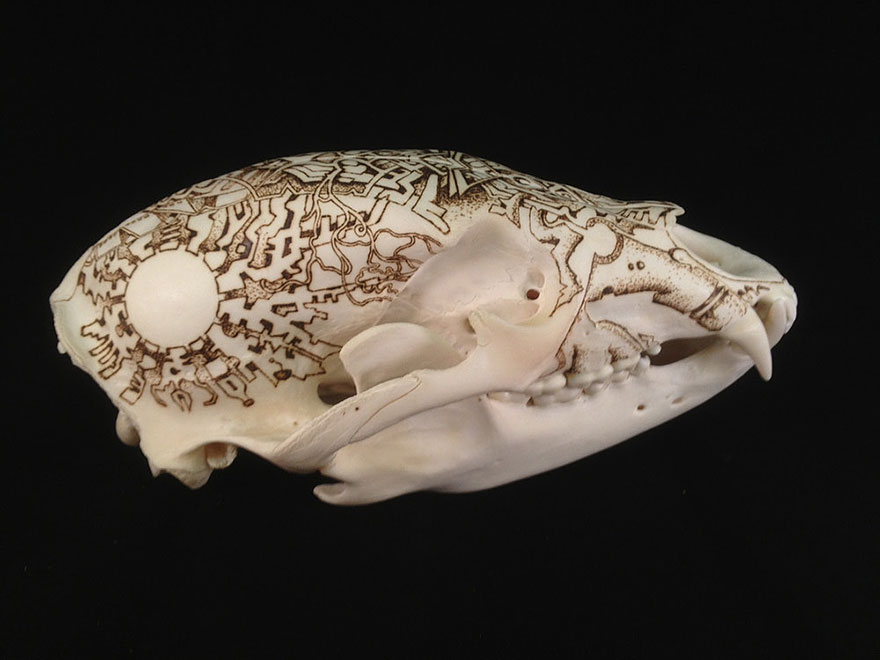 Incredible Animal Skull Art By Peter Deligdisch