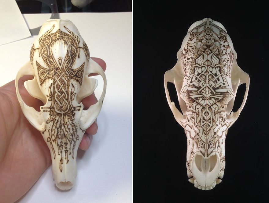 Incredible Animal Skull Art By Peter Deligdisch