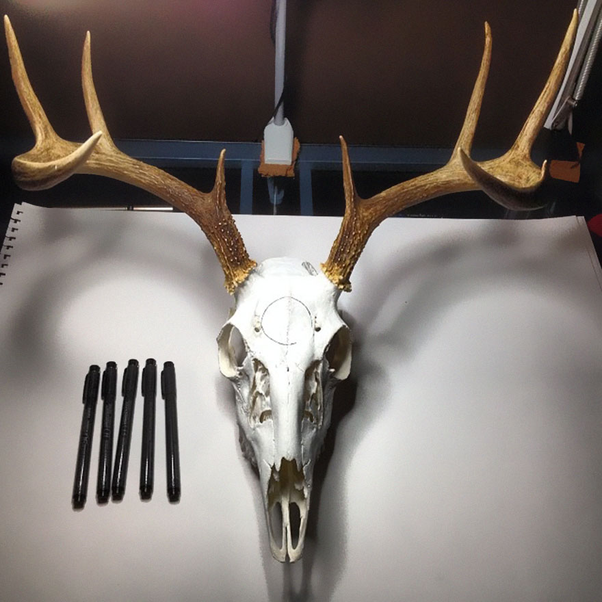 animal-skull-art-peter-deligdisch-14