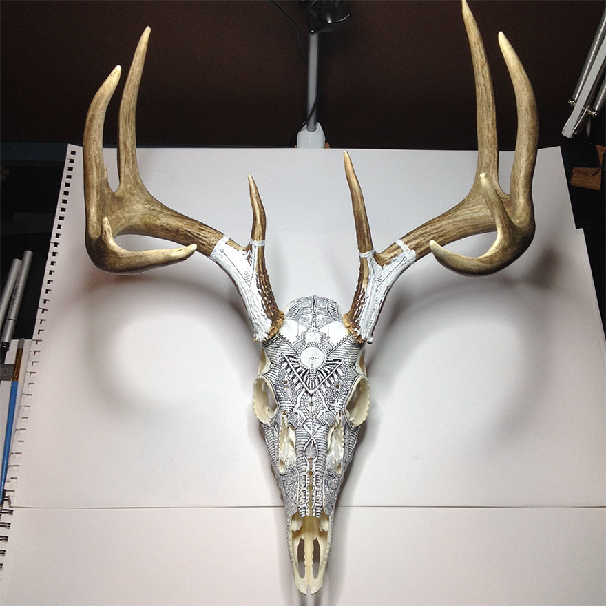 Incredible Animal Skull Art By Peter Deligdisch