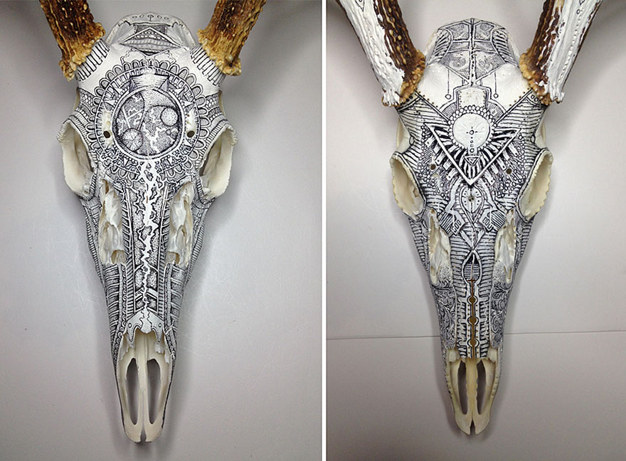 Incredible Animal Skull Art By Peter Deligdisch