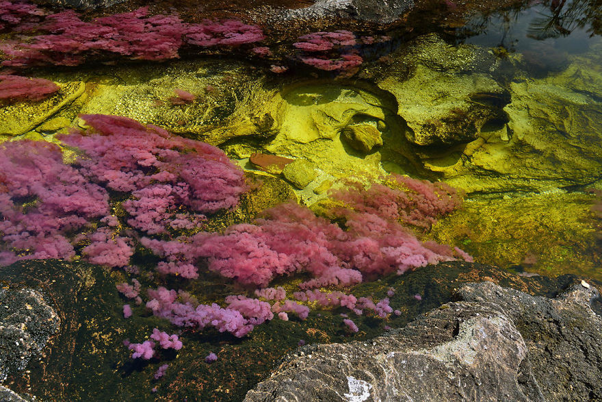 The Most Beautiful River In The World Blooms With Many Colors