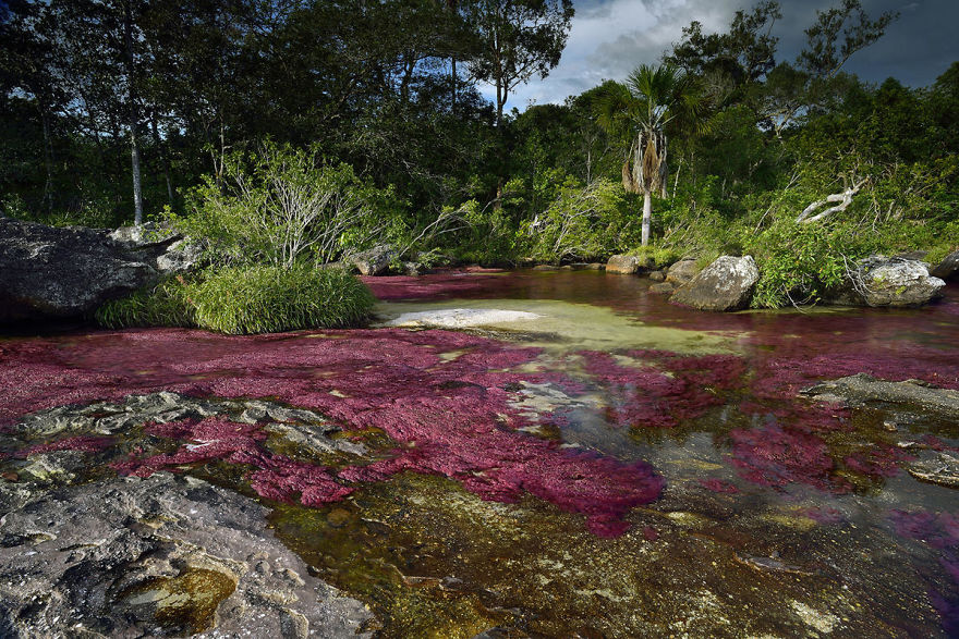 The Most Beautiful River In The World Blooms With Many Colors