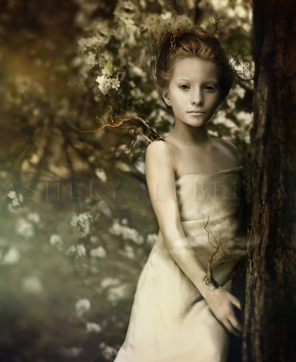A Photographic Storyboard 4 Years In The Making: " Faerieland " | The Dark Woods Are Waking....