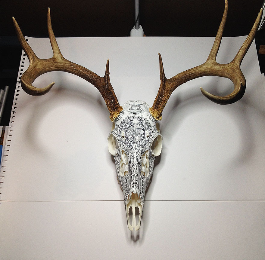 Incredible Animal Skull Art By Peter Deligdisch