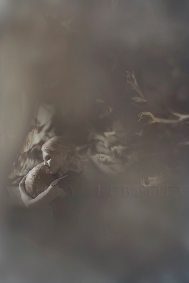 A Photographic Storyboard 4 Years In The Making: " Faerieland " | The Dark Woods Are Waking....