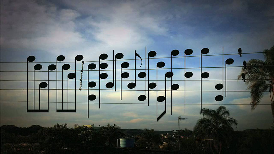 Birds’ Positions On Electric Wires Turned Into Spellbinding Melody