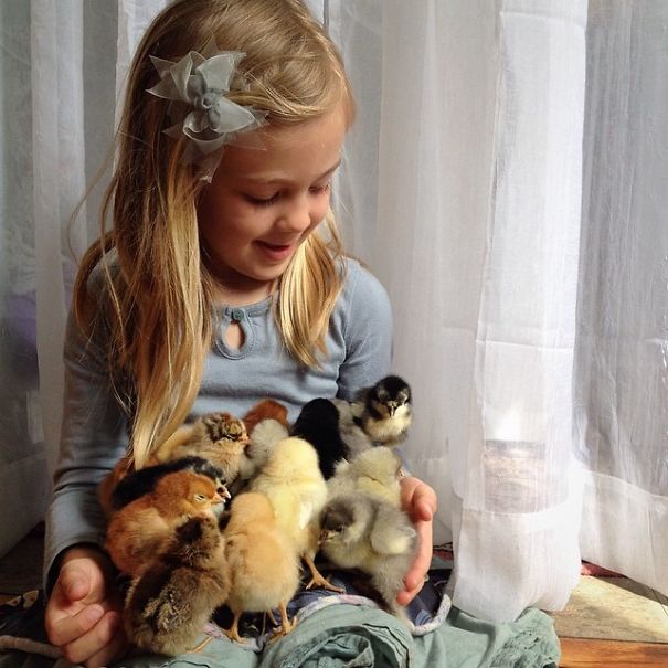 Adorable Instagram Account Will Give You Your #dailydoseofchick
