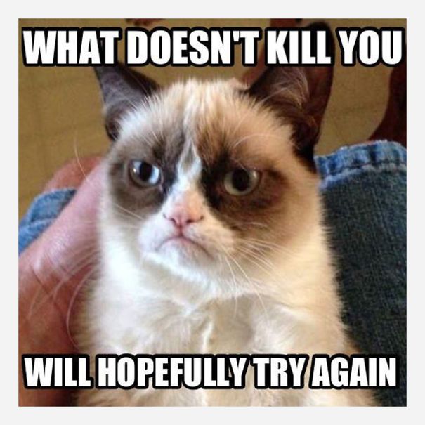 9 Of The Funniest Grumpy Cat Memes