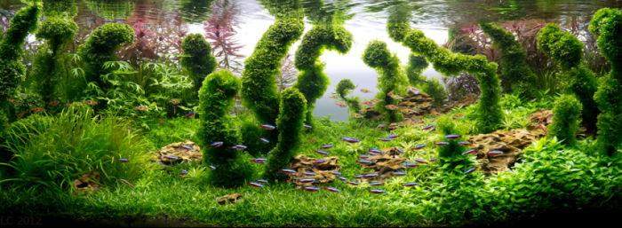 Incredible Aquariums Incredible Aquariums