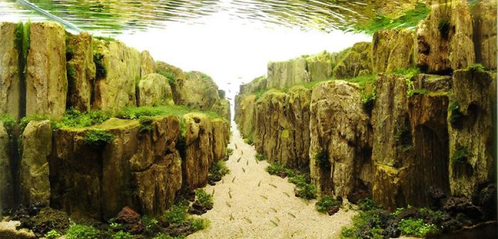 Incredible Aquariums Incredible Aquariums