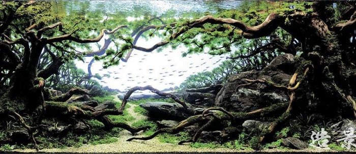 Incredible Aquariums Incredible Aquariums