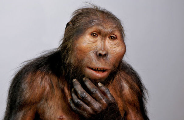 Amazingly Realistic Reconstructions Of Our Ancestors Illustrate Human Evolution