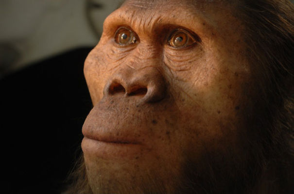 Amazingly Realistic Reconstructions Of Our Ancestors Illustrate Human Evolution