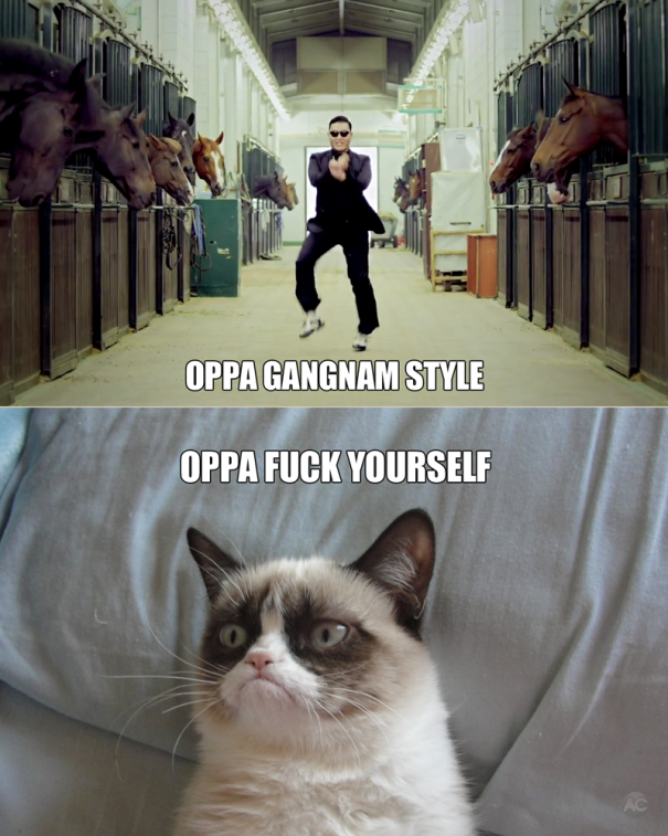 9 Of The Funniest Grumpy Cat Memes